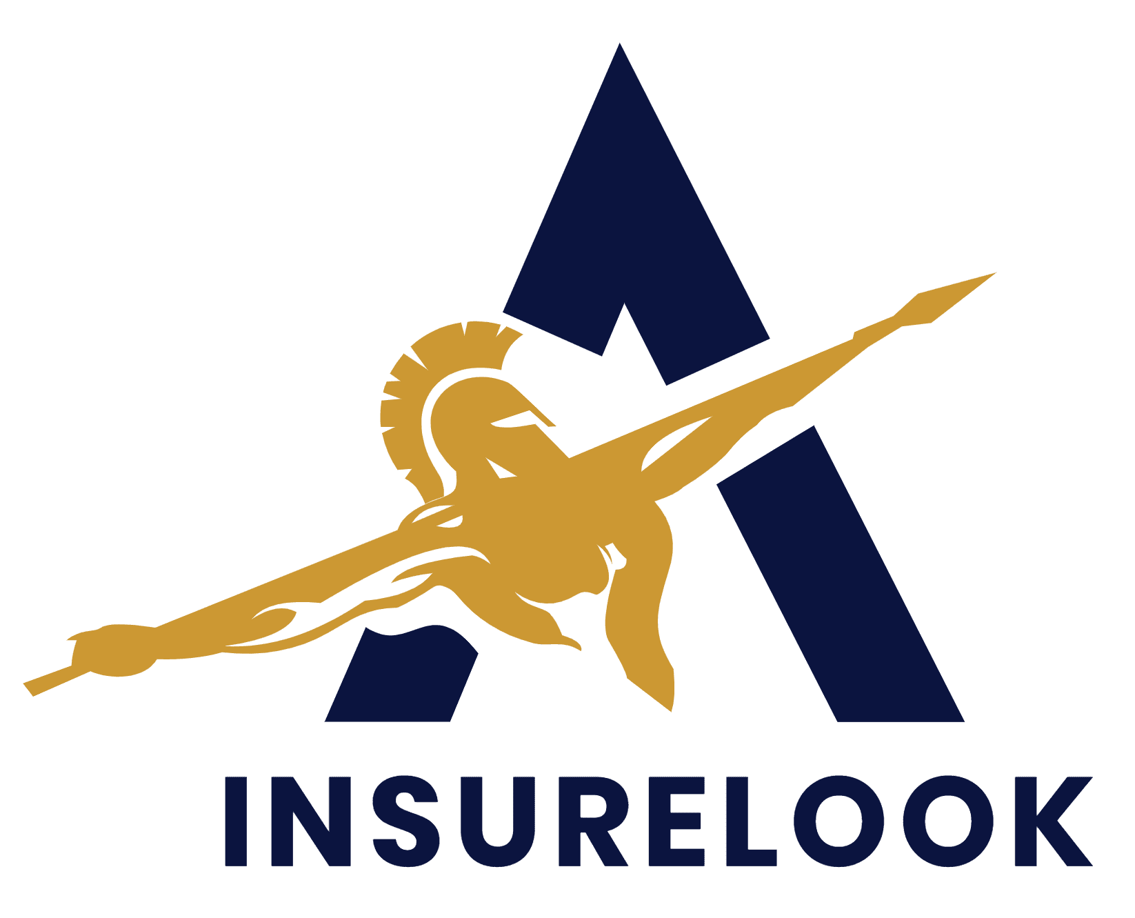 insurelook